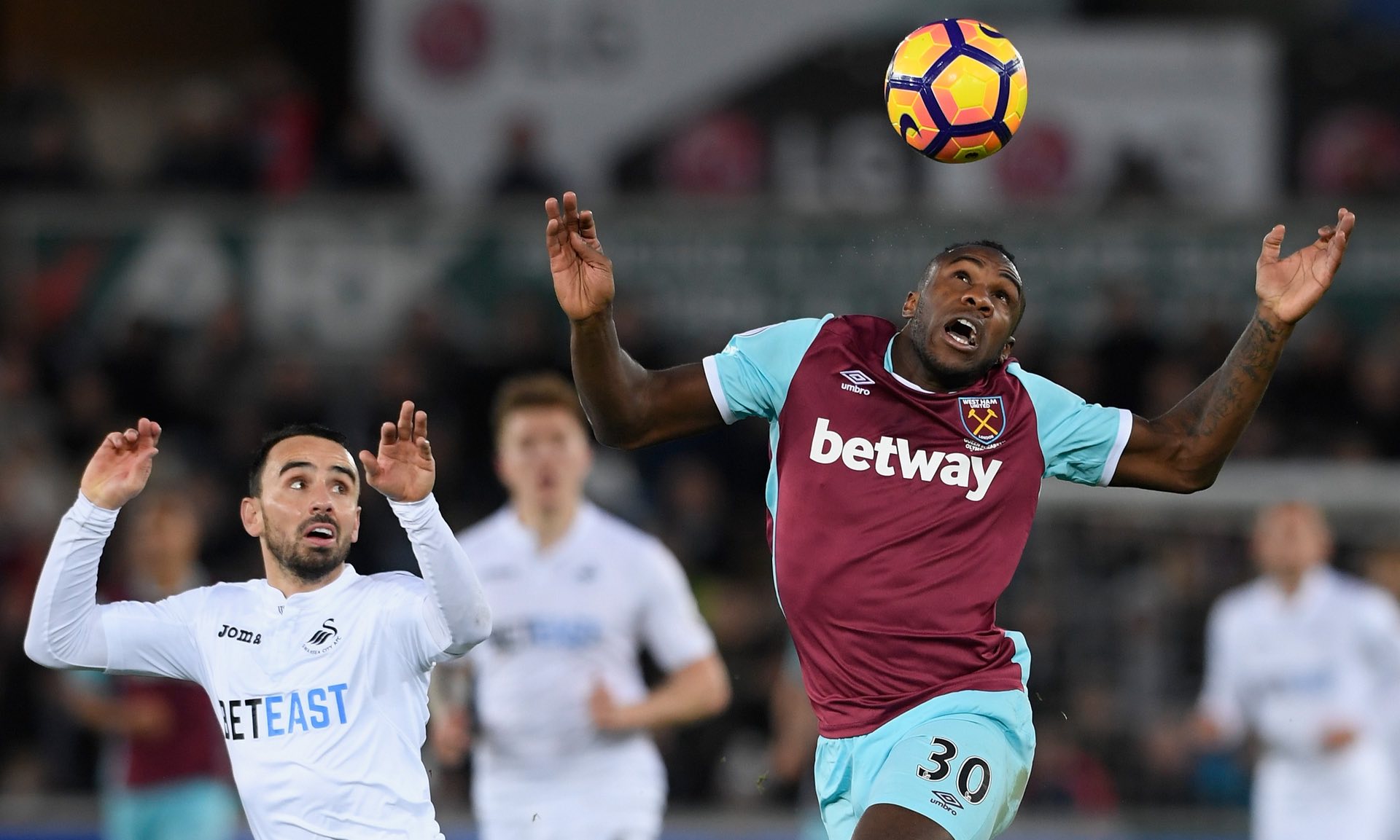 广泛的关注 广泛的关注