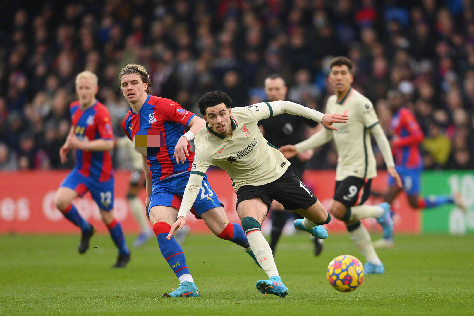 起的新星 起的新星